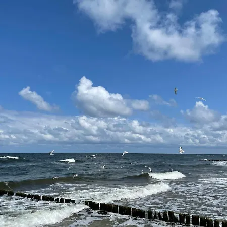 Seaside Deluxe 627 公寓 科沃布热格